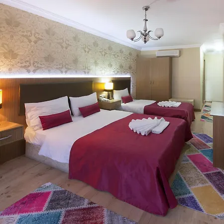Grand Zentrum & Cafe Restaurant - Taksim Square 3* Стамбул
